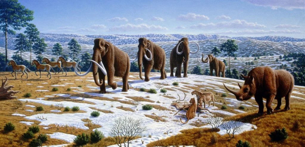 Ice age fauna of northern Spain   Mauricio Antón